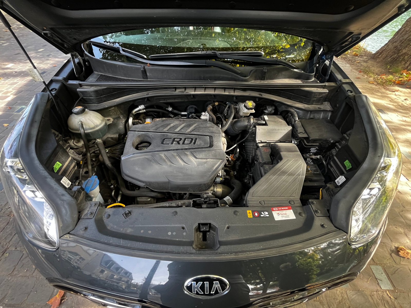 KIA Sportage Phase 2 1.6 CRDi 4×2 DCT7 136Ch “GT Line”