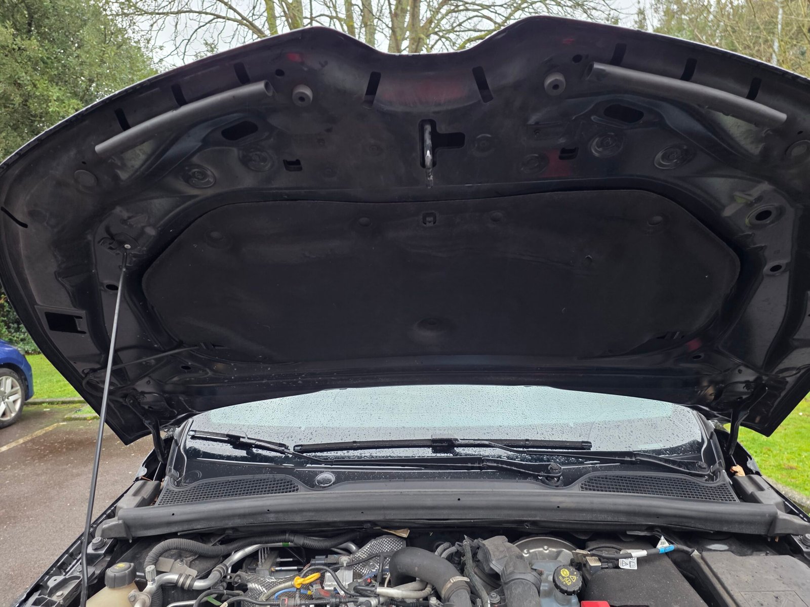 Clio V 1,0 TCe 90 Ch