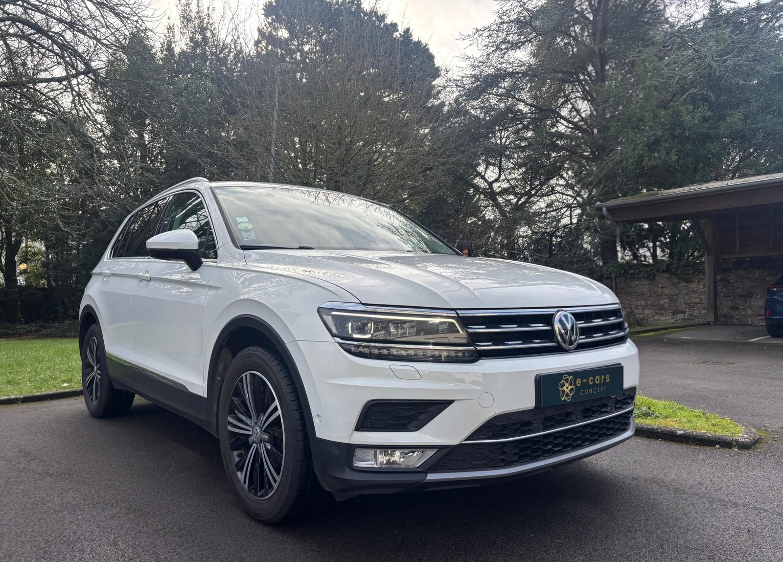 VOLKSWAGEN TIGUAN II Carat 2.0 TDi 150 cv