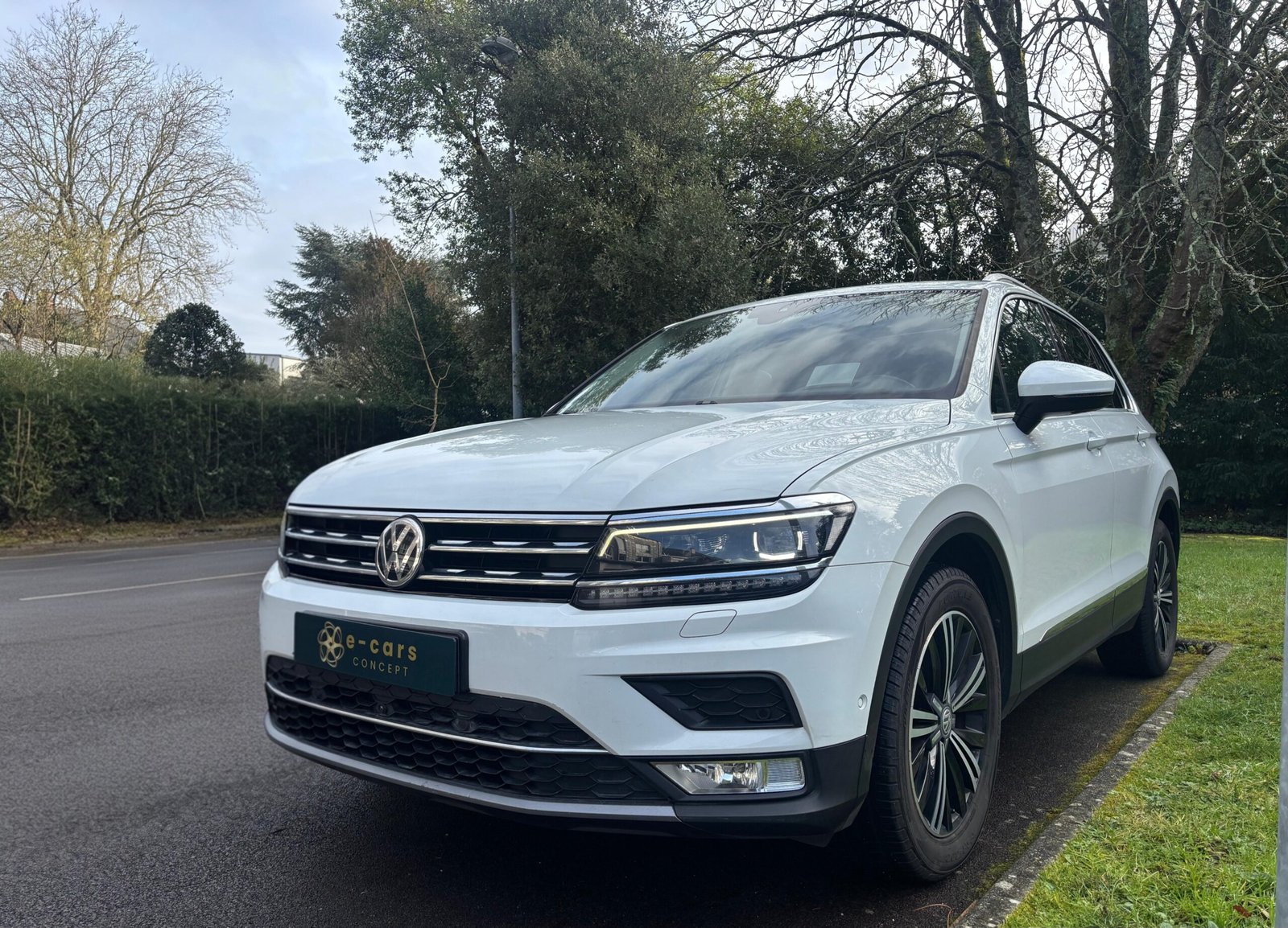 VOLKSWAGEN TIGUAN II Carat 2.0 TDi 150 cv