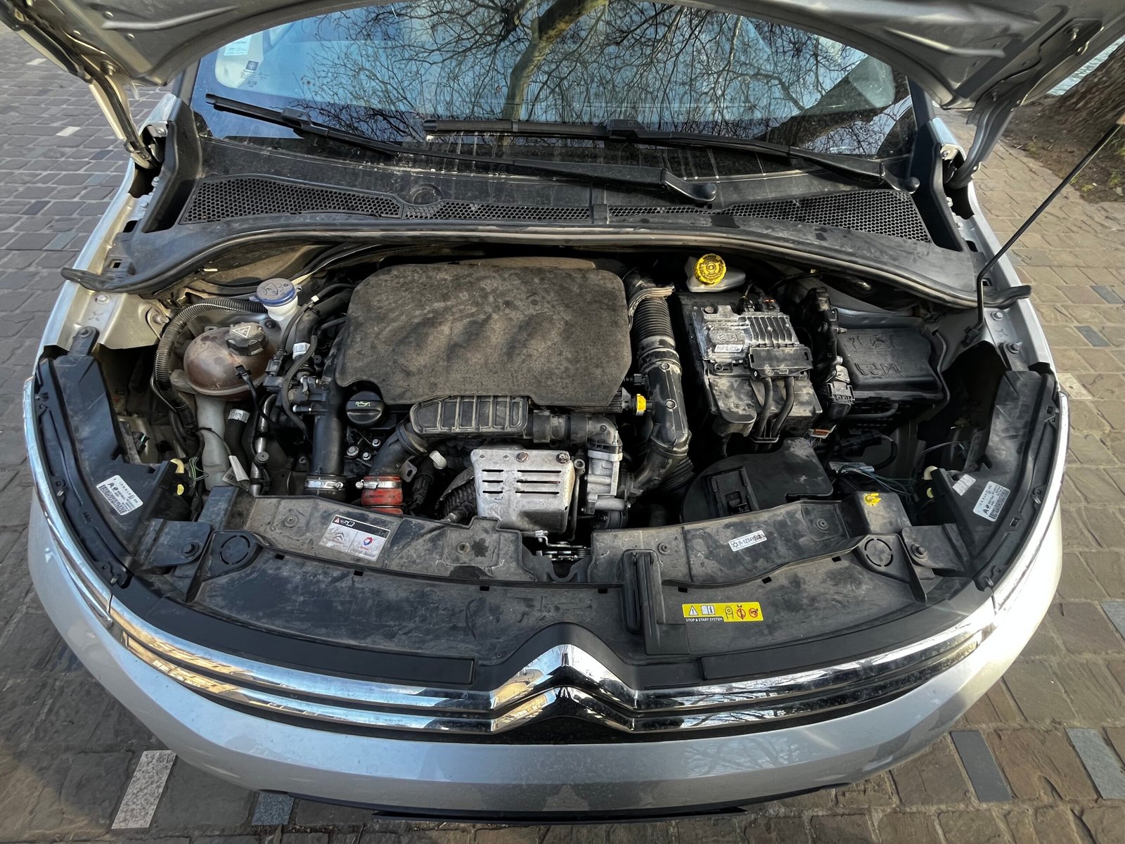 CITROËN C3 1.2 THP EAT6 110Ch “Shine”