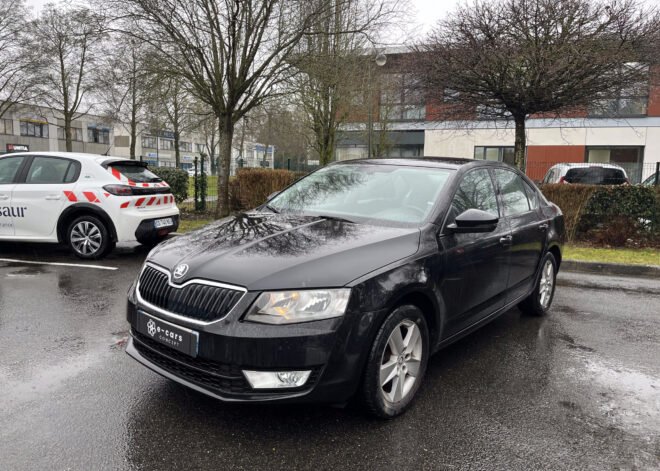 SKODA Octavia 1.6 TDI 16V 105 cv Business Plus