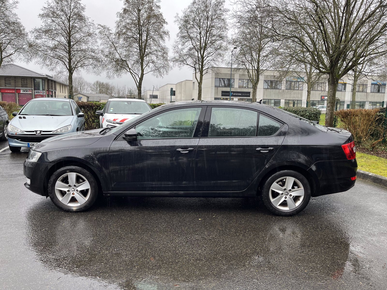 SKODA Octavia 1.6 TDI 16V 105 cv Business Plus