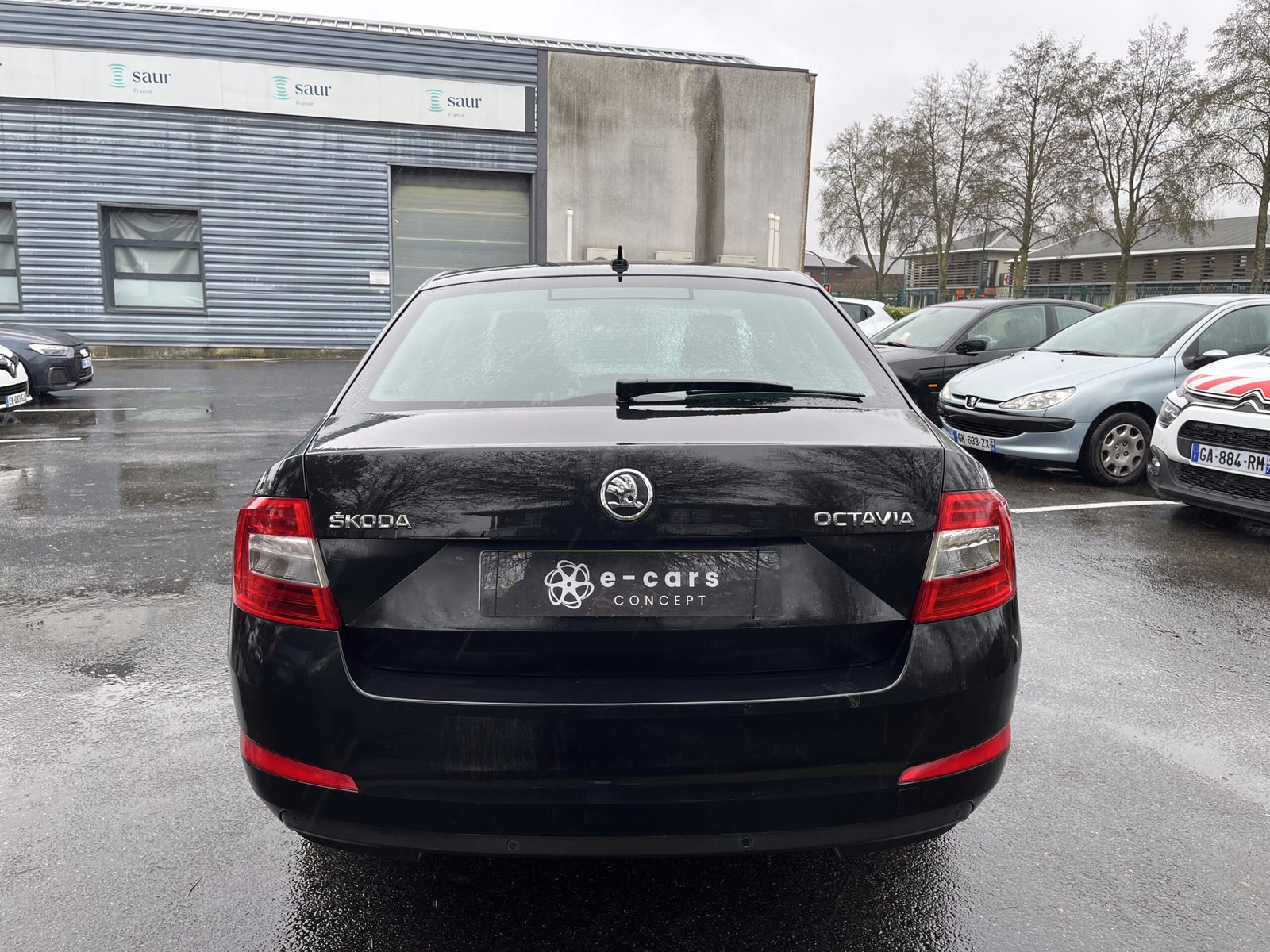 SKODA Octavia 1.6 TDI 16V 105 cv Business Plus