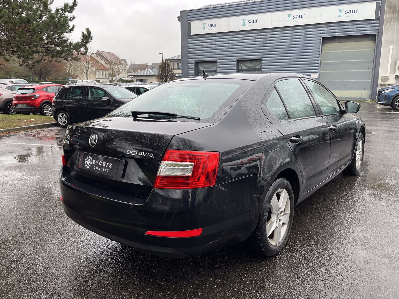 SKODA Octavia 1.6 TDI 16V 105 cv Business Plus