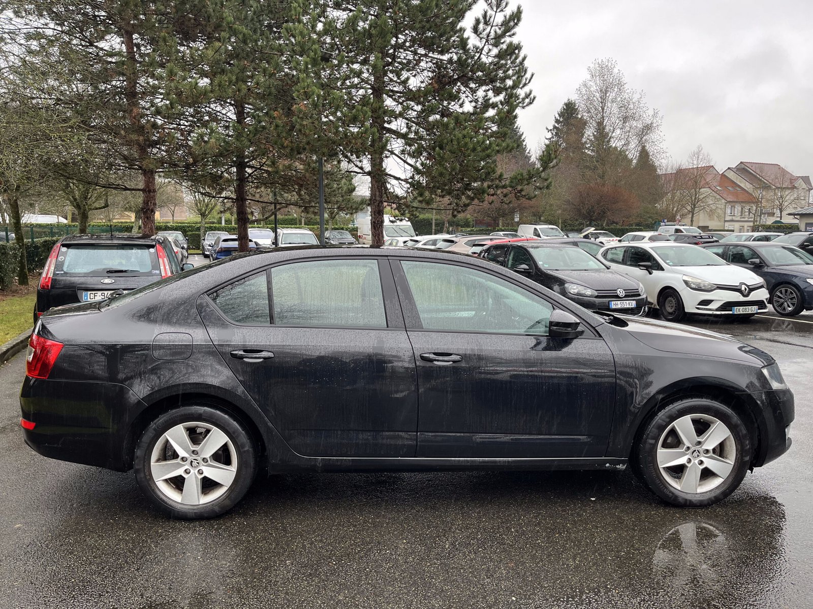 SKODA Octavia 1.6 TDI 16V 105 cv Business Plus