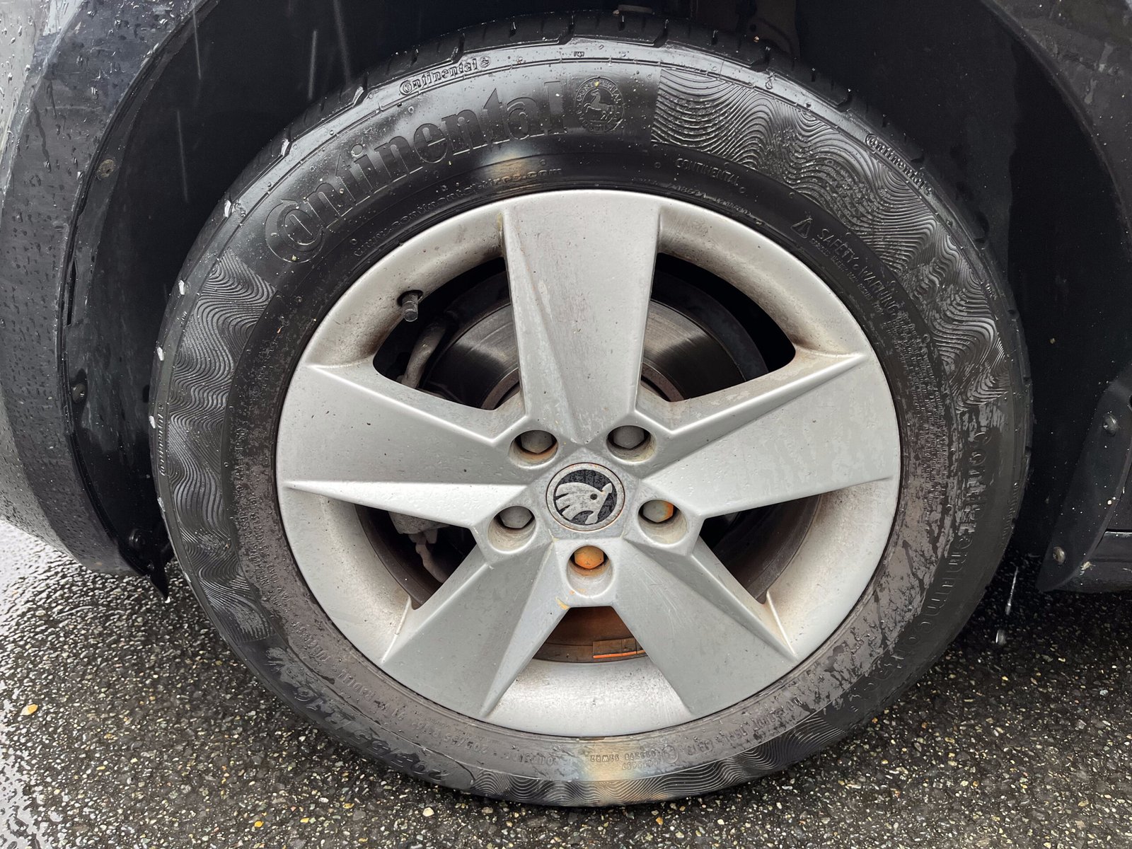 SKODA Octavia 1.6 TDI 16V 105 cv Business Plus