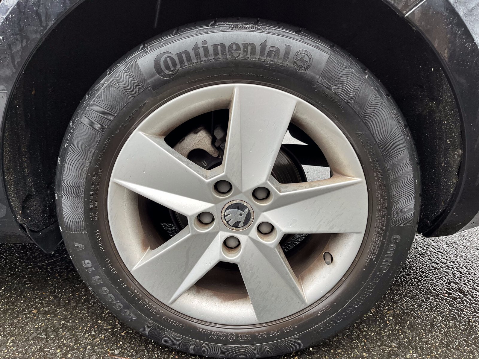 SKODA Octavia 1.6 TDI 16V 105 cv Business Plus