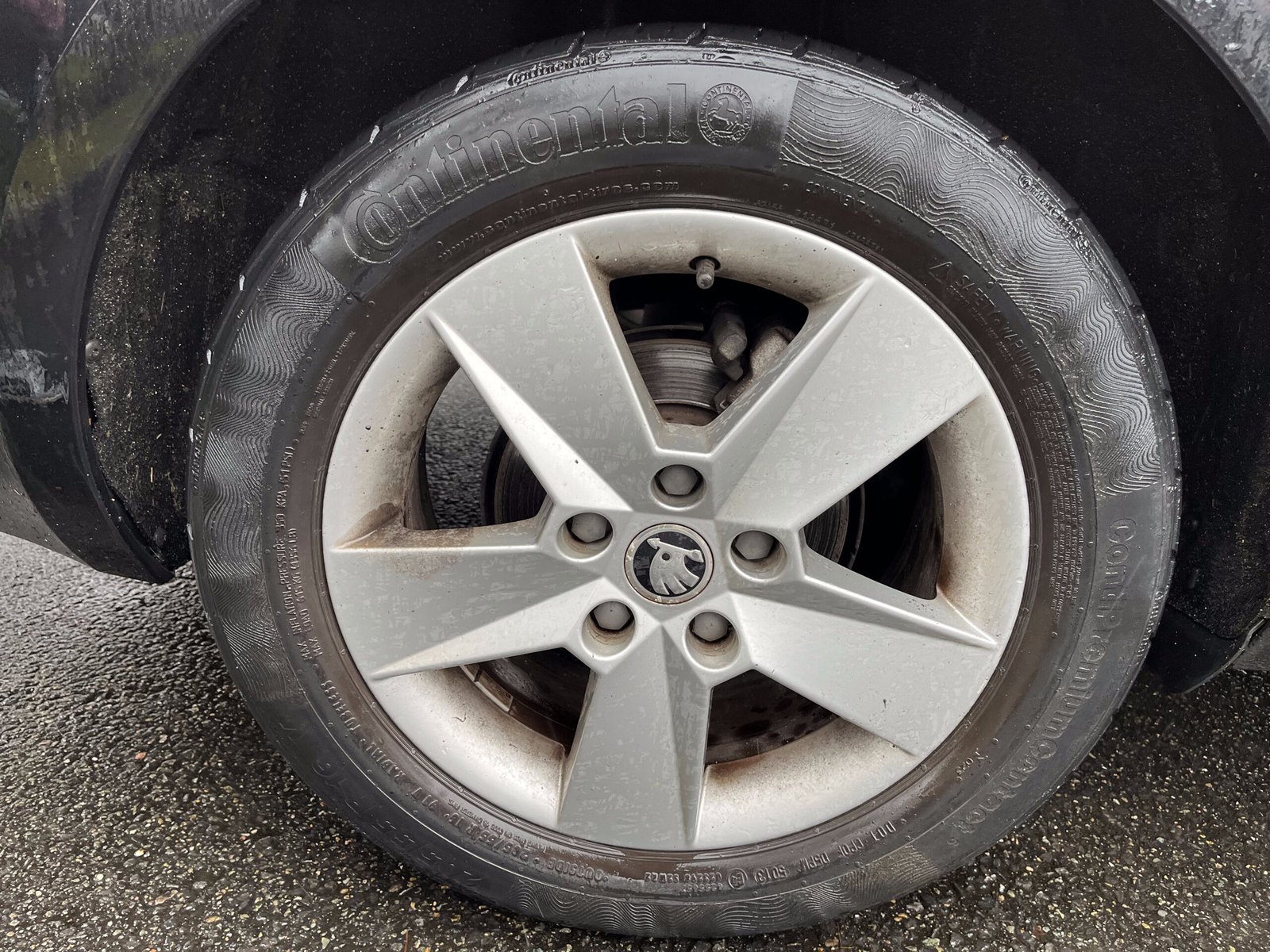 SKODA Octavia 1.6 TDI 16V 105 cv Business Plus