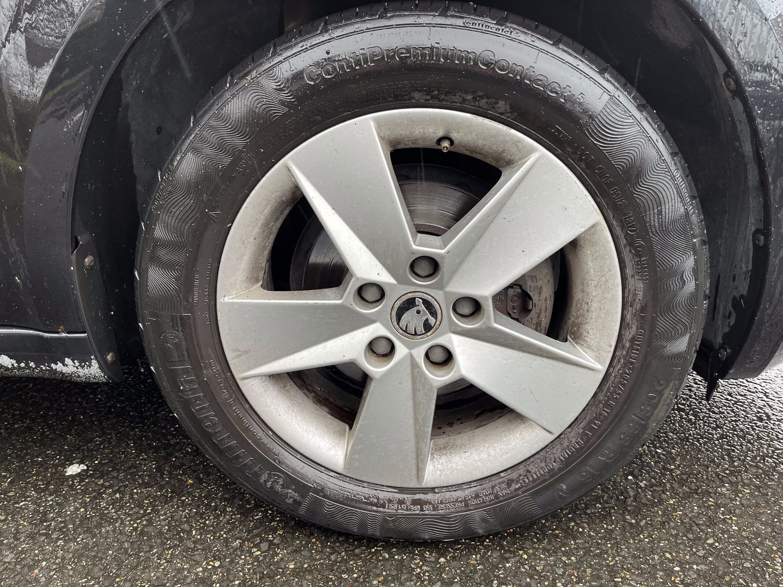 SKODA Octavia 1.6 TDI 16V 105 cv Business Plus