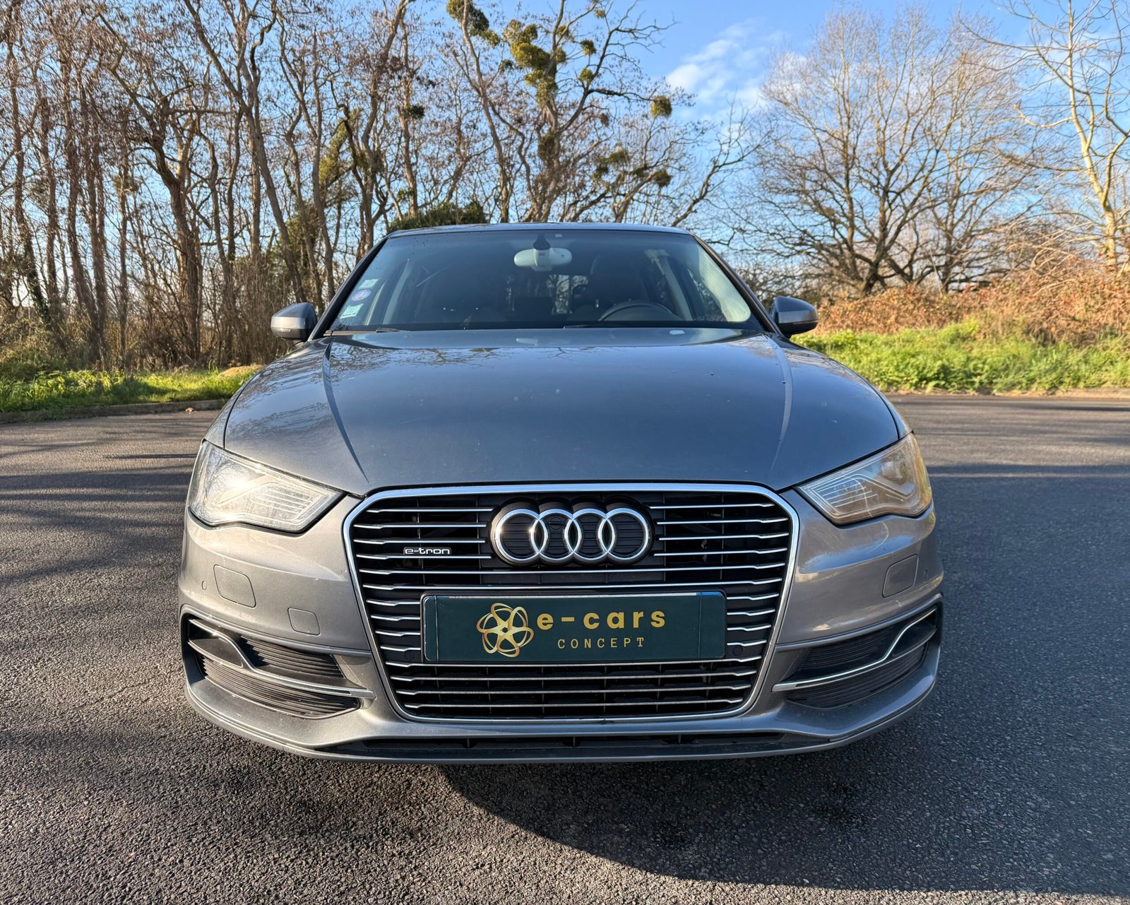 AUDI A3 Série 3 Sportback (8VA) e-tron 1.4 TSI