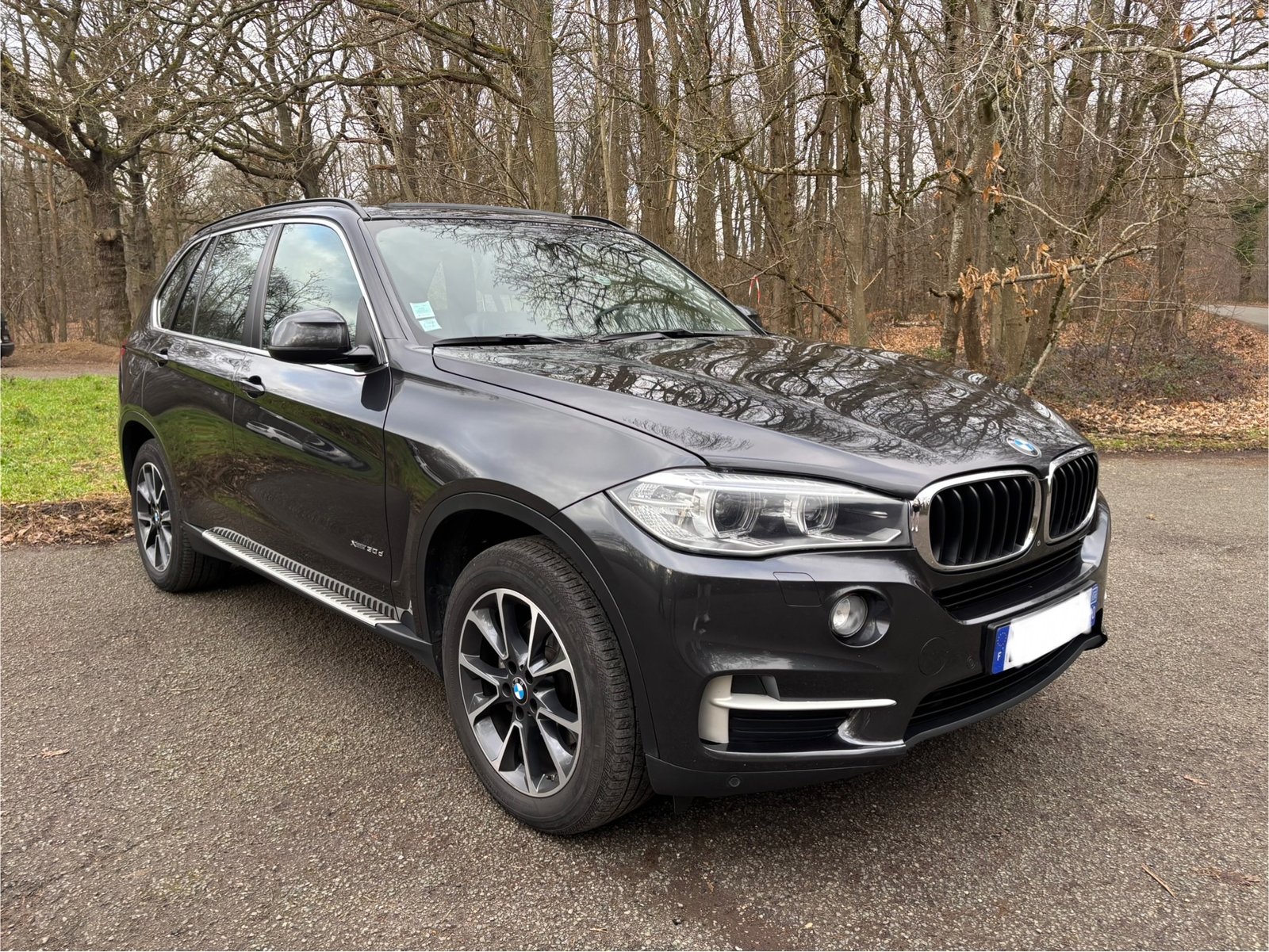 BMW X5 (F15) 30d xDrive 3.0 d 258 LOUNGE PLUS