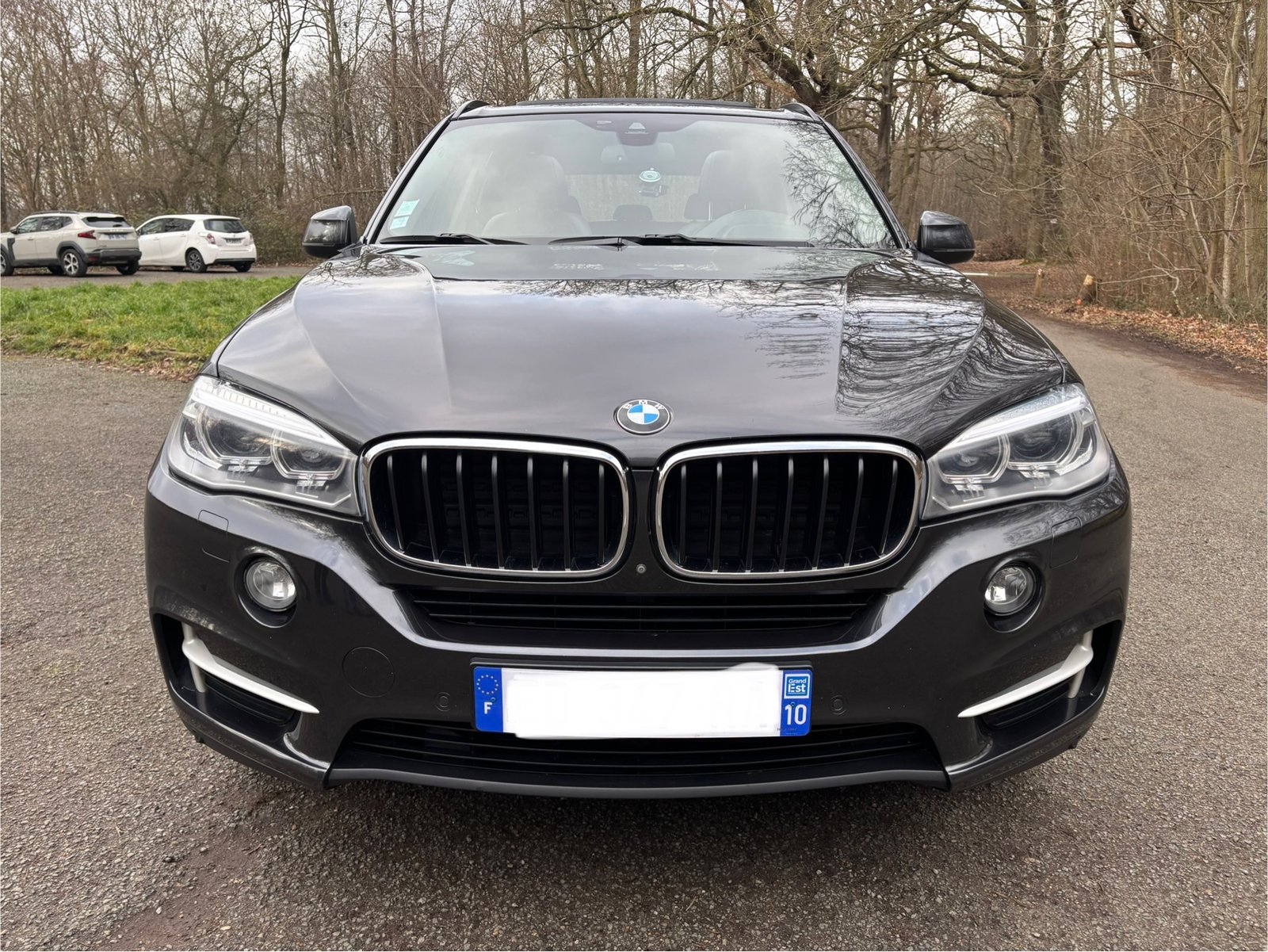BMW X5 (F15) 30d xDrive 3.0 d 258 LOUNGE PLUS