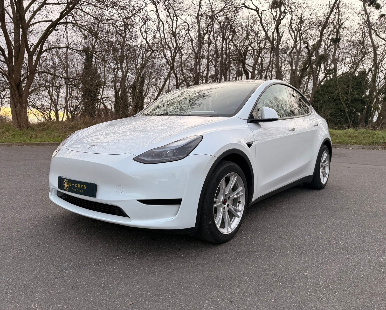TESLA Model Y propulsion 271 cv Boîte auto