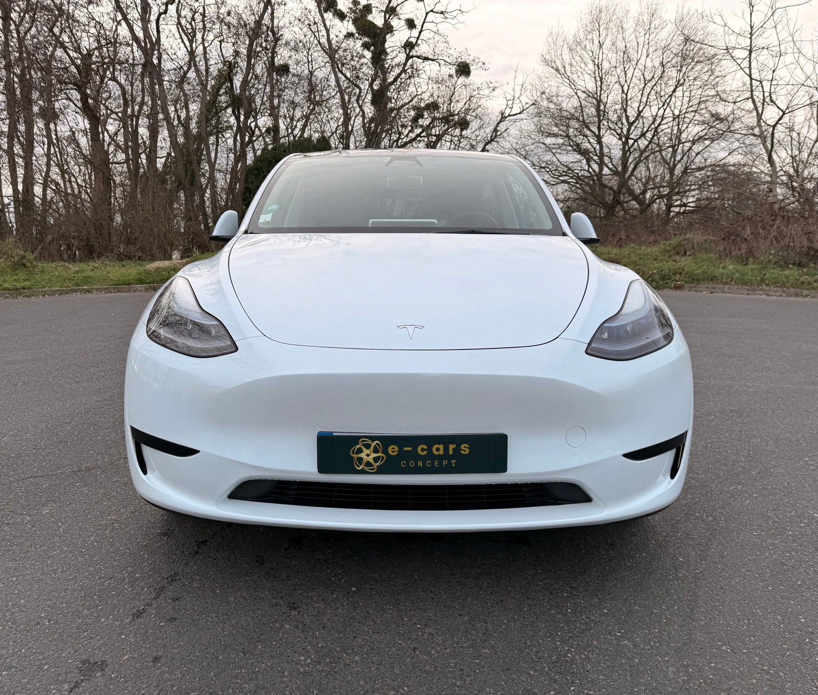 TESLA Model Y propulsion 271 cv Boîte auto