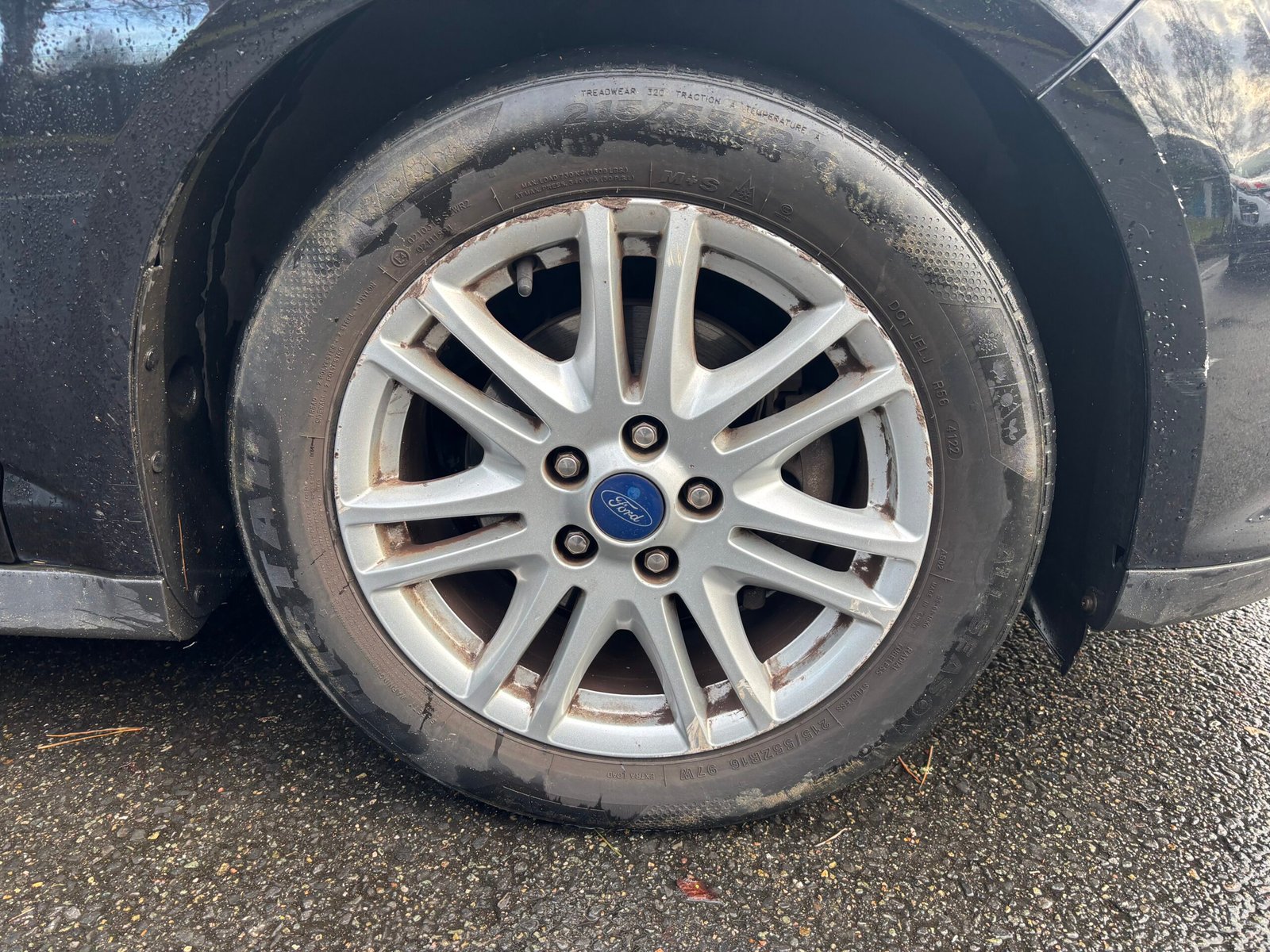 FORD C-Max II (B7) 1.6 TDCi FAP 115 cv