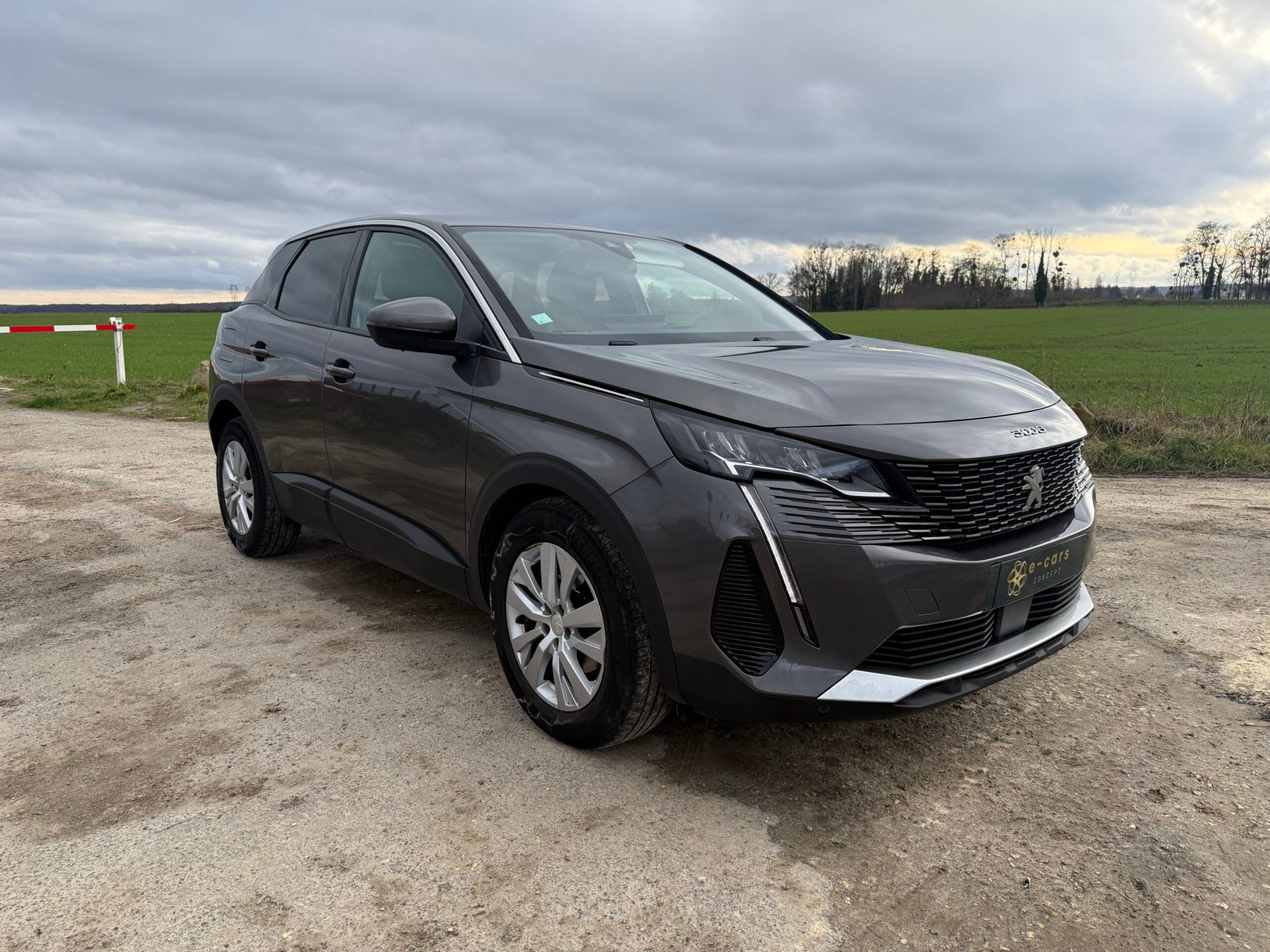 Peugeot 3008 1.5 BlueHDi EAT8 S&S 130 ch « Active Business »