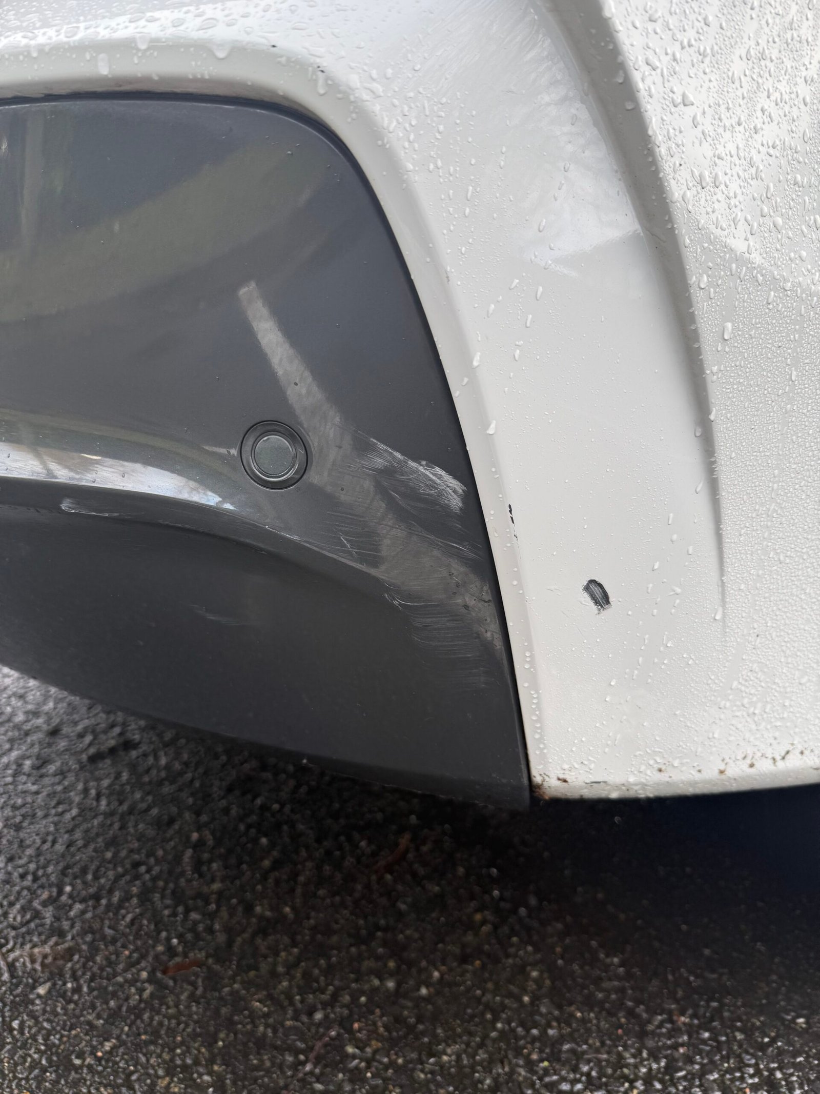 BMW X4 (F26) 20d PACK-M xDrive 2.0 d 16V 190 cv Boîte auto