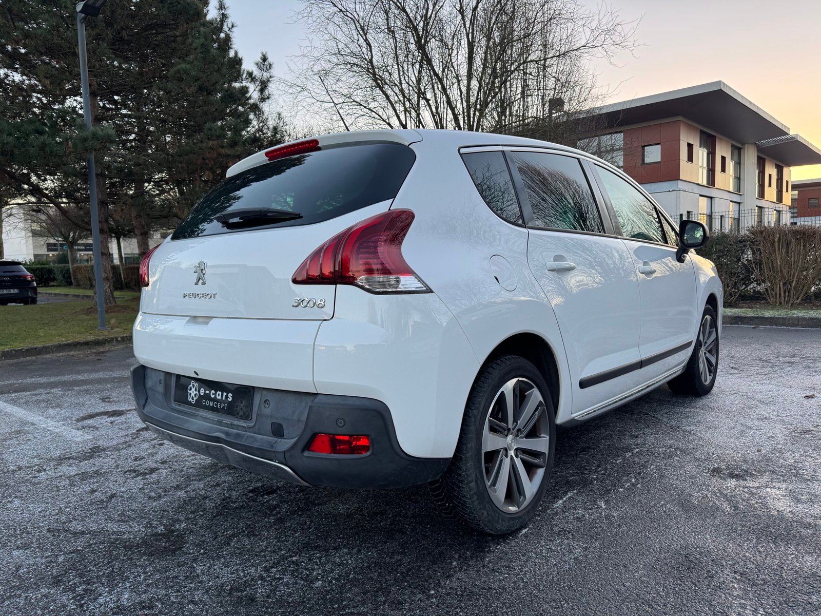 PEUGEOT 3008 FELINE TITANE I 2.0 HDi 16V FAP 150 cv