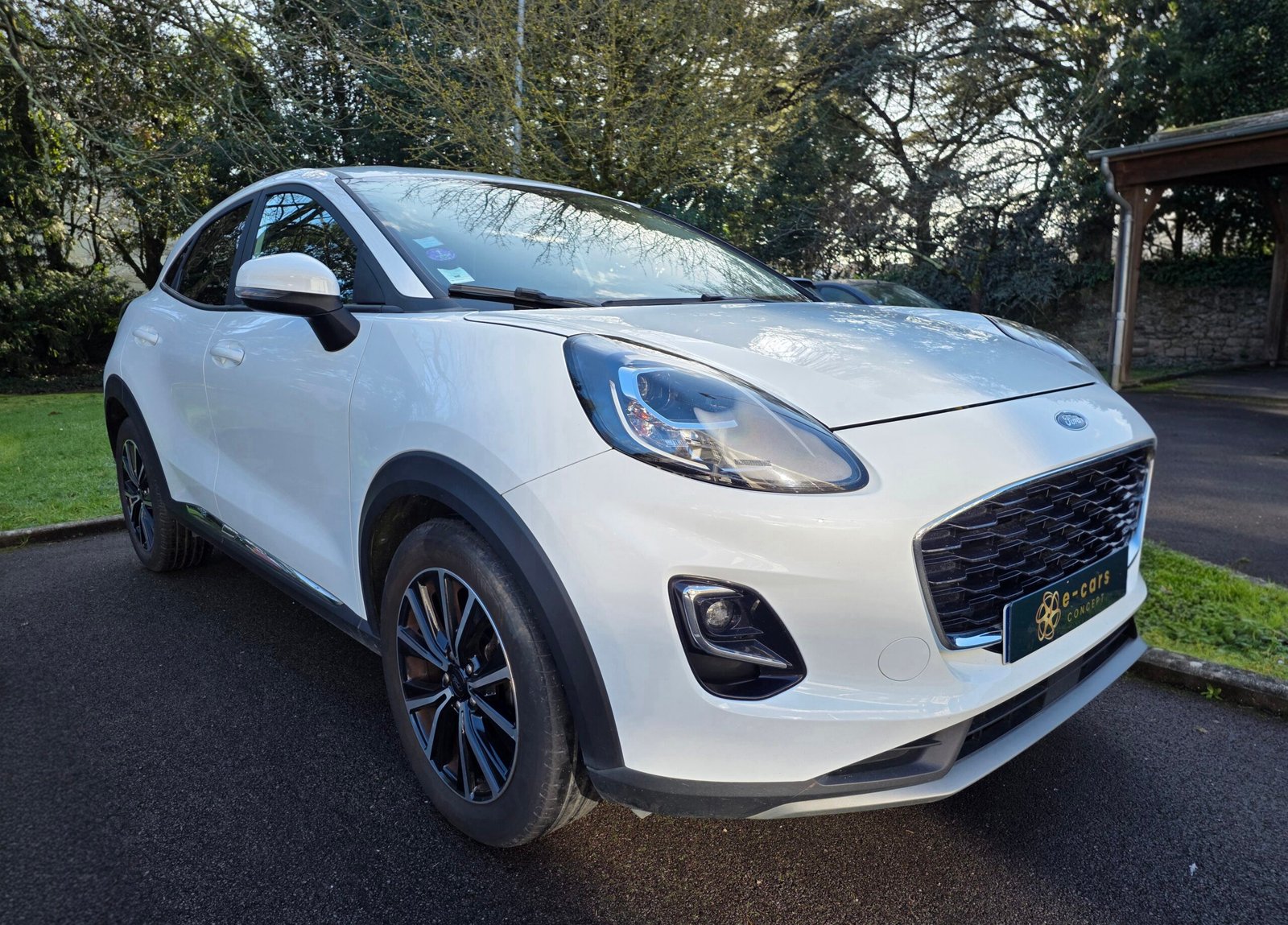 Ford Puma 1.0 EcoBoost 125 Ch Flexifuel