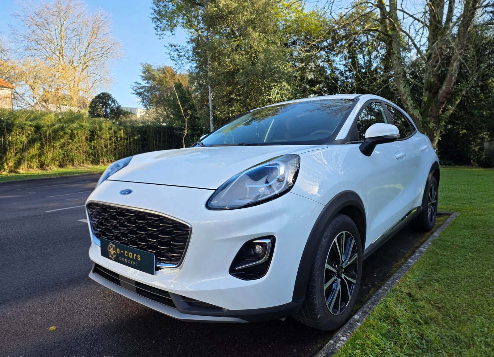 Ford Puma 1.0 EcoBoost 125 Ch Flexifuel