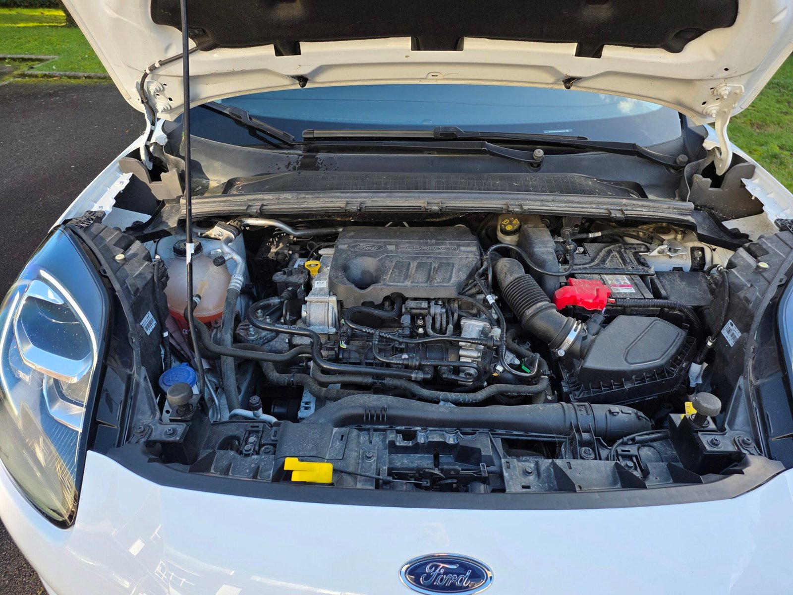 Ford Puma 1.0 EcoBoost 125 Ch Flexifuel