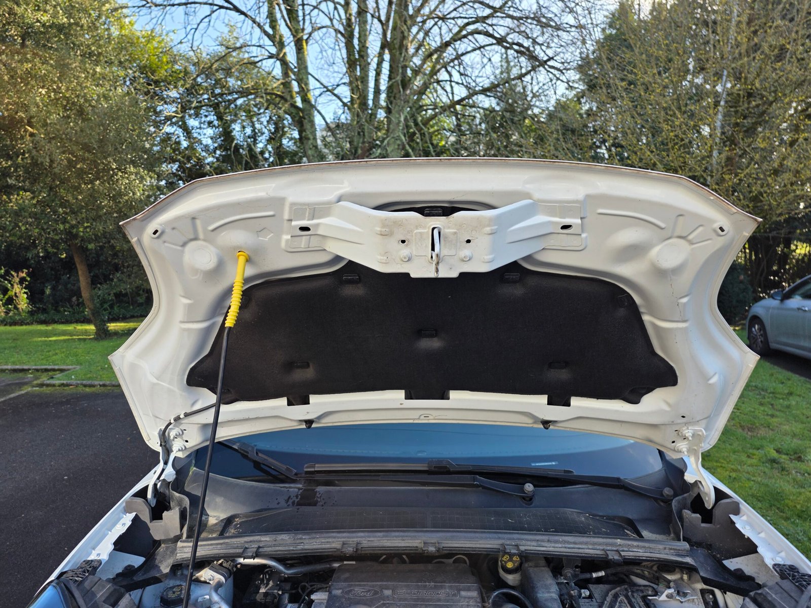 Ford Puma 1.0 EcoBoost 125 Ch Flexifuel