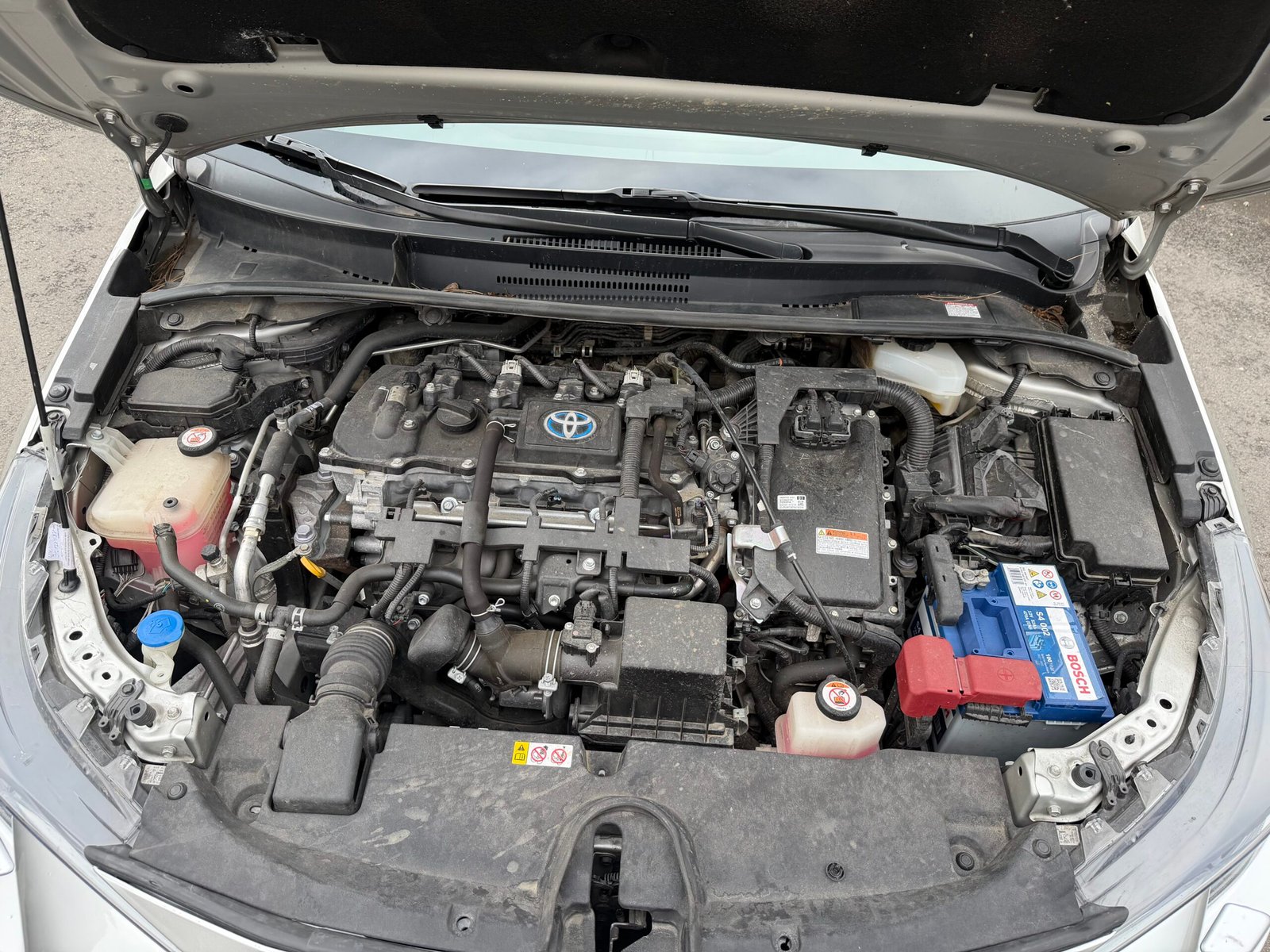 Toyota Corolla finition Collection