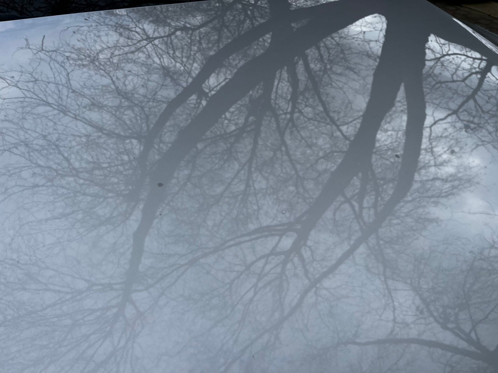 AUDI A5 Sportback 2.0 TFSI (Configuration boitier éthanol) 180Ch “Ambiente”