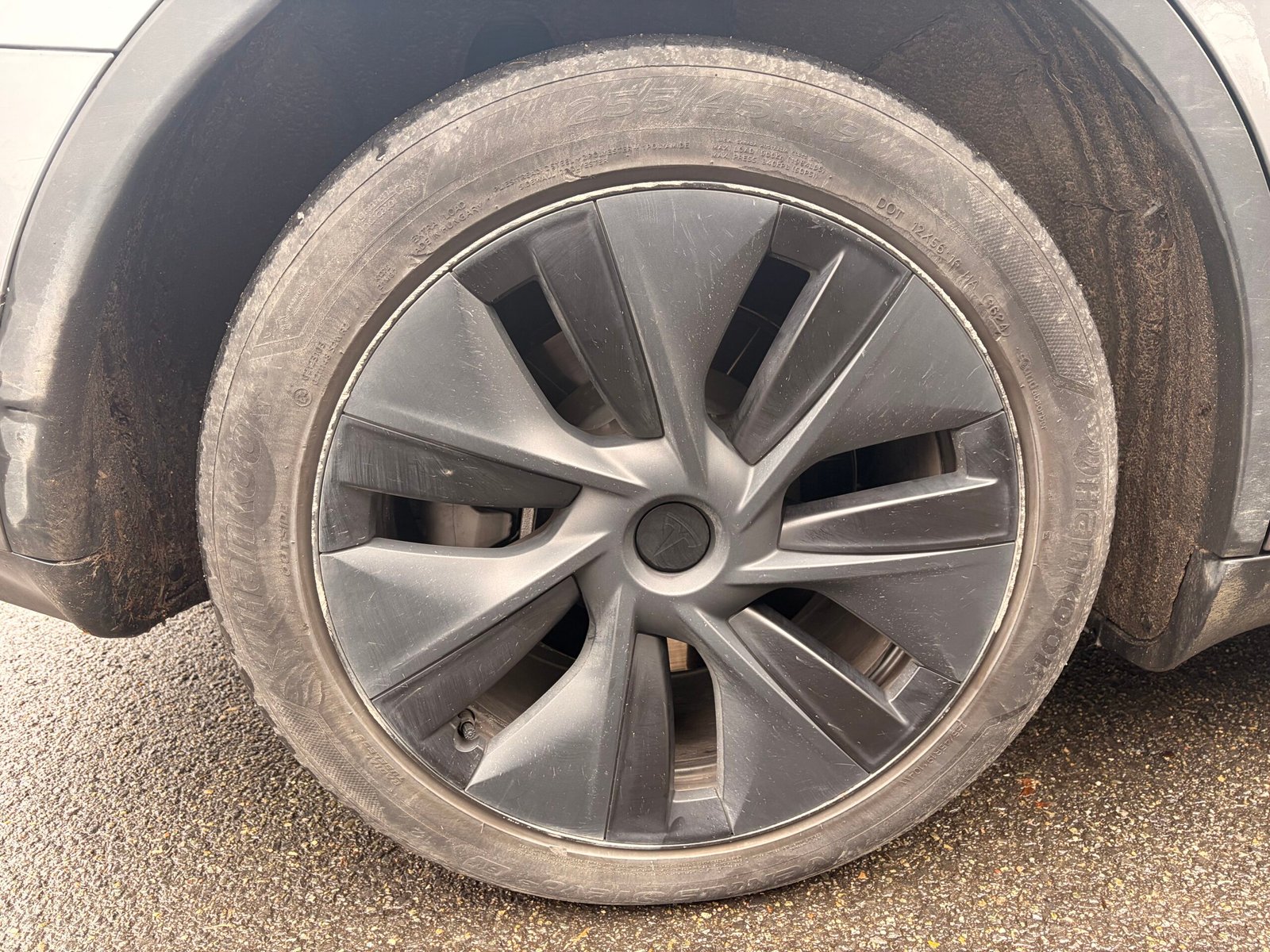 TESLA Model Y 299 cv Boîte auto