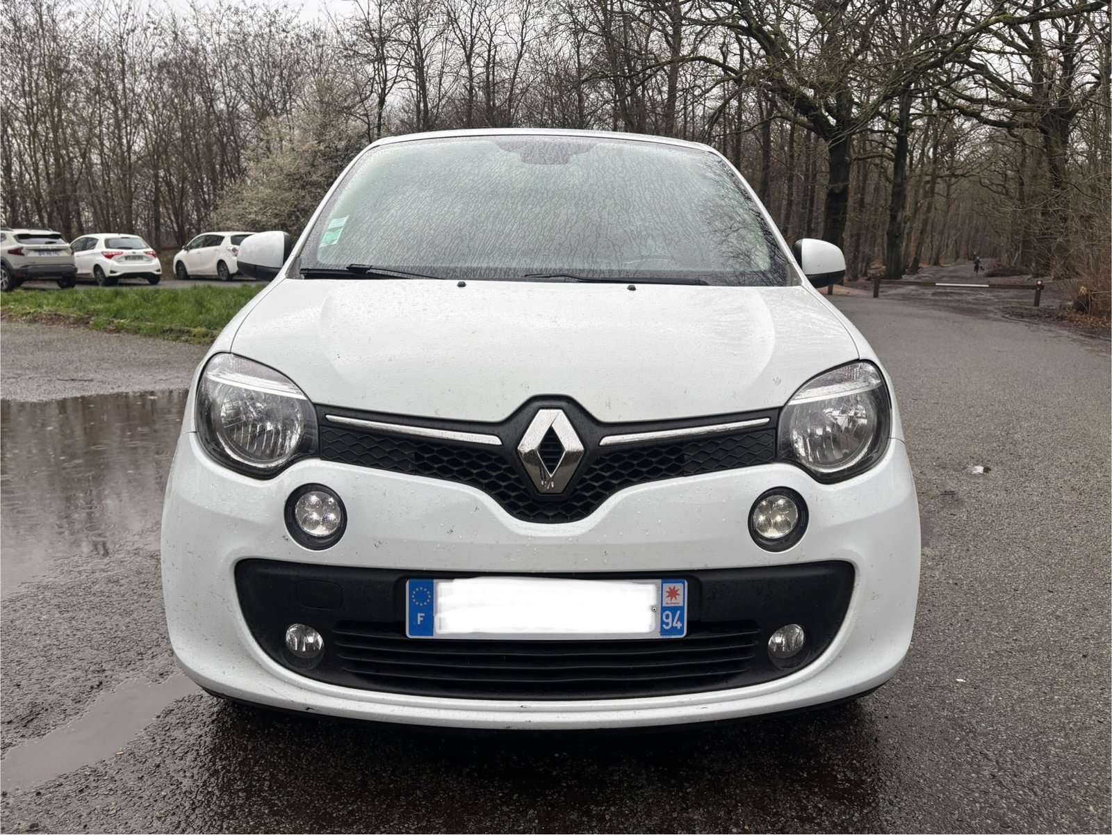RENAULT Twingo III 0.9 TCe 12V eco2 90 cv INTENS