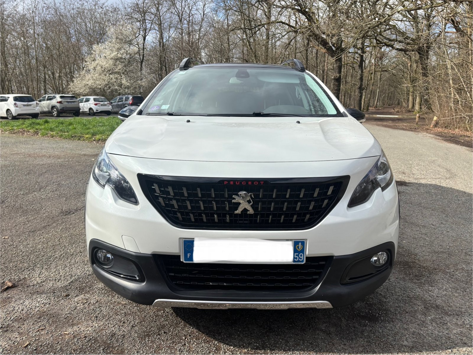 PEUGEOT 2008 1.2 THP Puretech 110 cv GT LINE