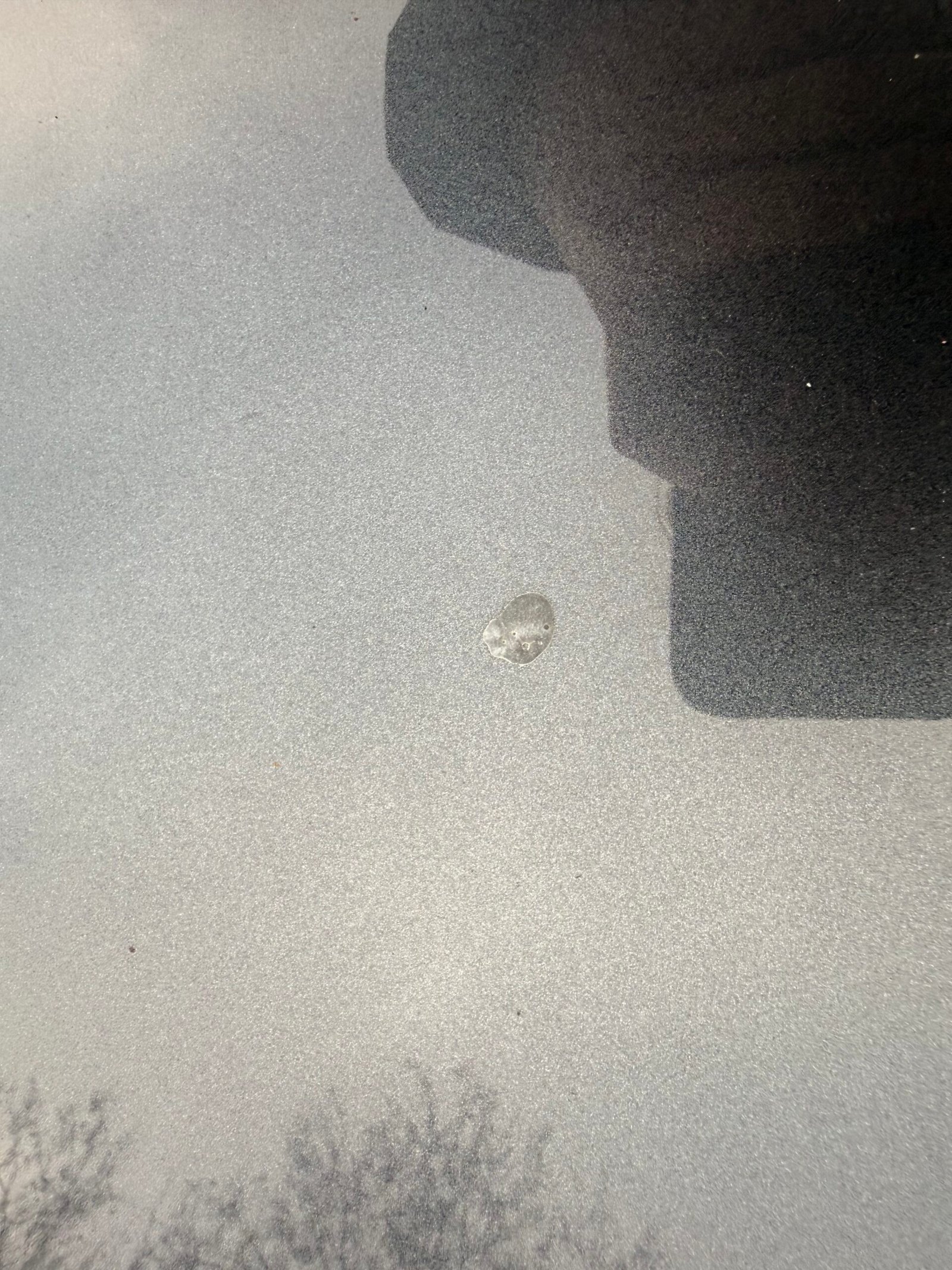 ULT Mégane IV 1.5 dCi 16V 110 cv en finition « zen »