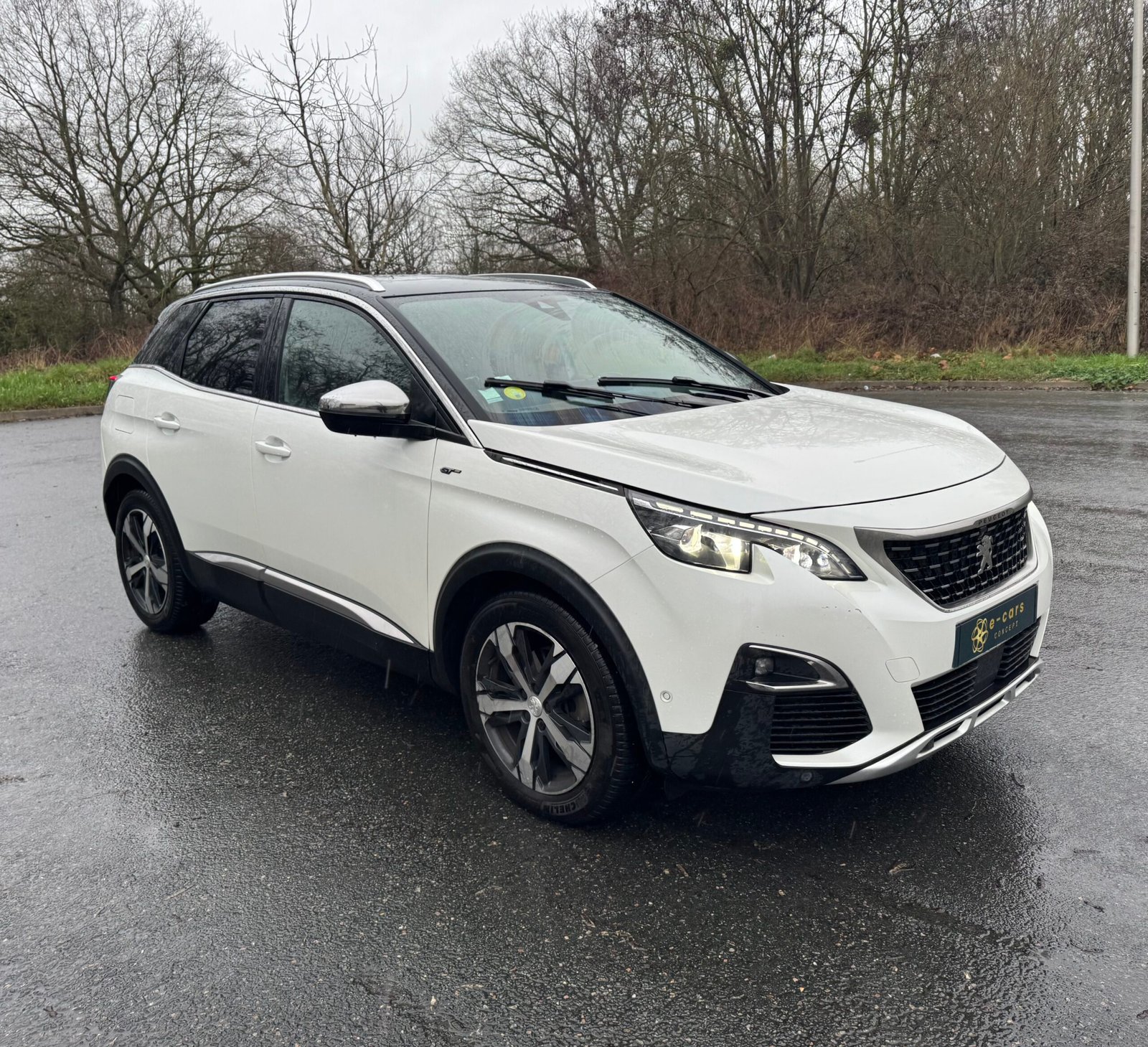 Peugeot 3008 II « GT » 2.0 BlueHDi EAT8 S&S 177CH