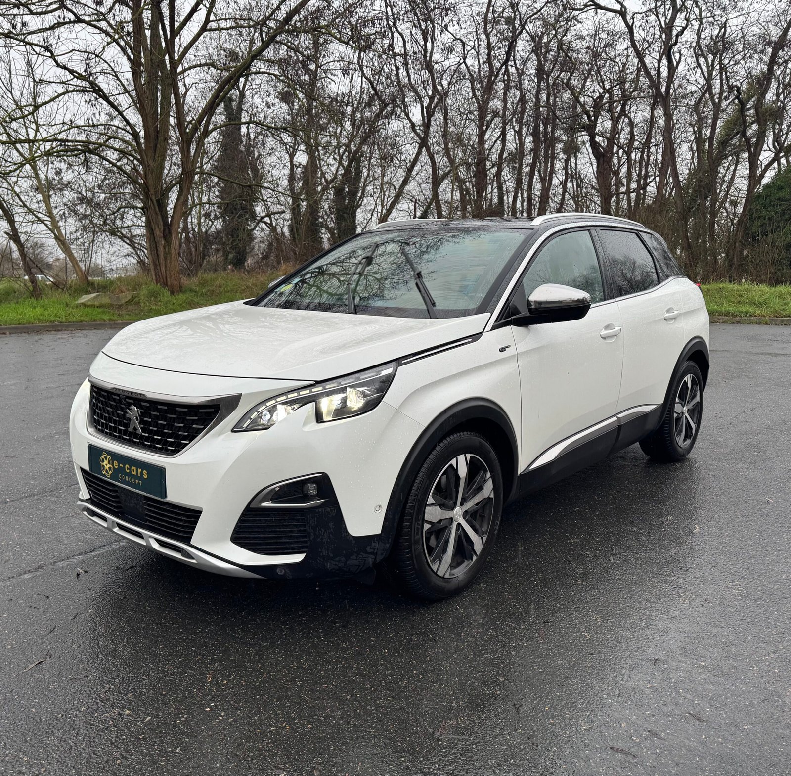 Peugeot 3008 II « GT » 2.0 BlueHDi EAT8 S&S 177CH