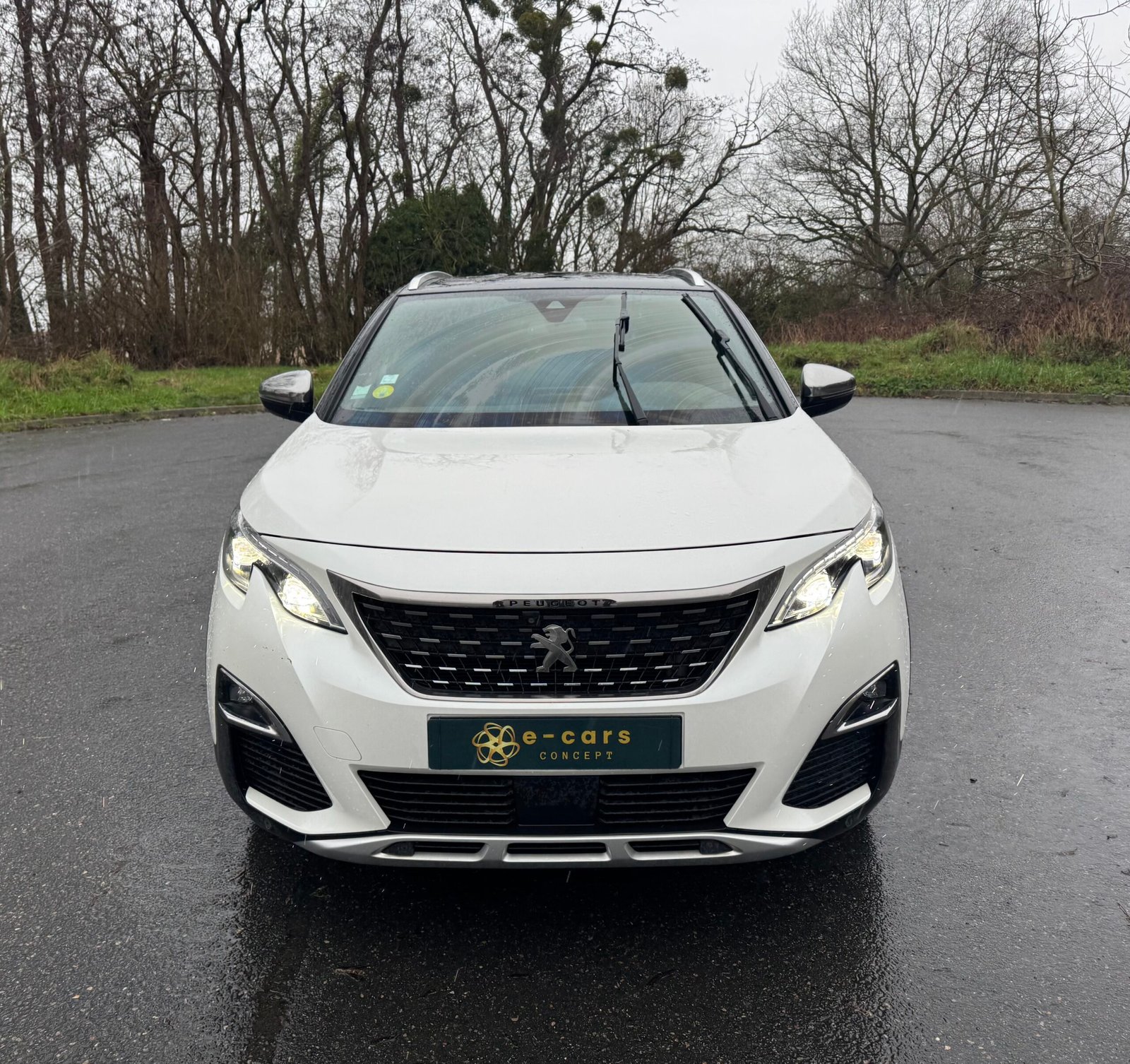 Peugeot 3008 II « GT » 2.0 BlueHDi EAT8 S&S 177CH