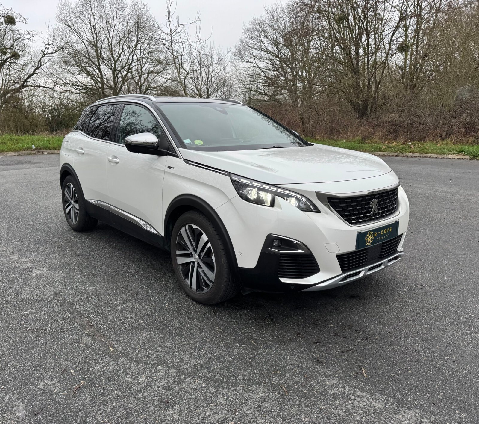 Peugeot 3008 II « GT » 2.0 BlueHDi EAT6 S&S 181CH