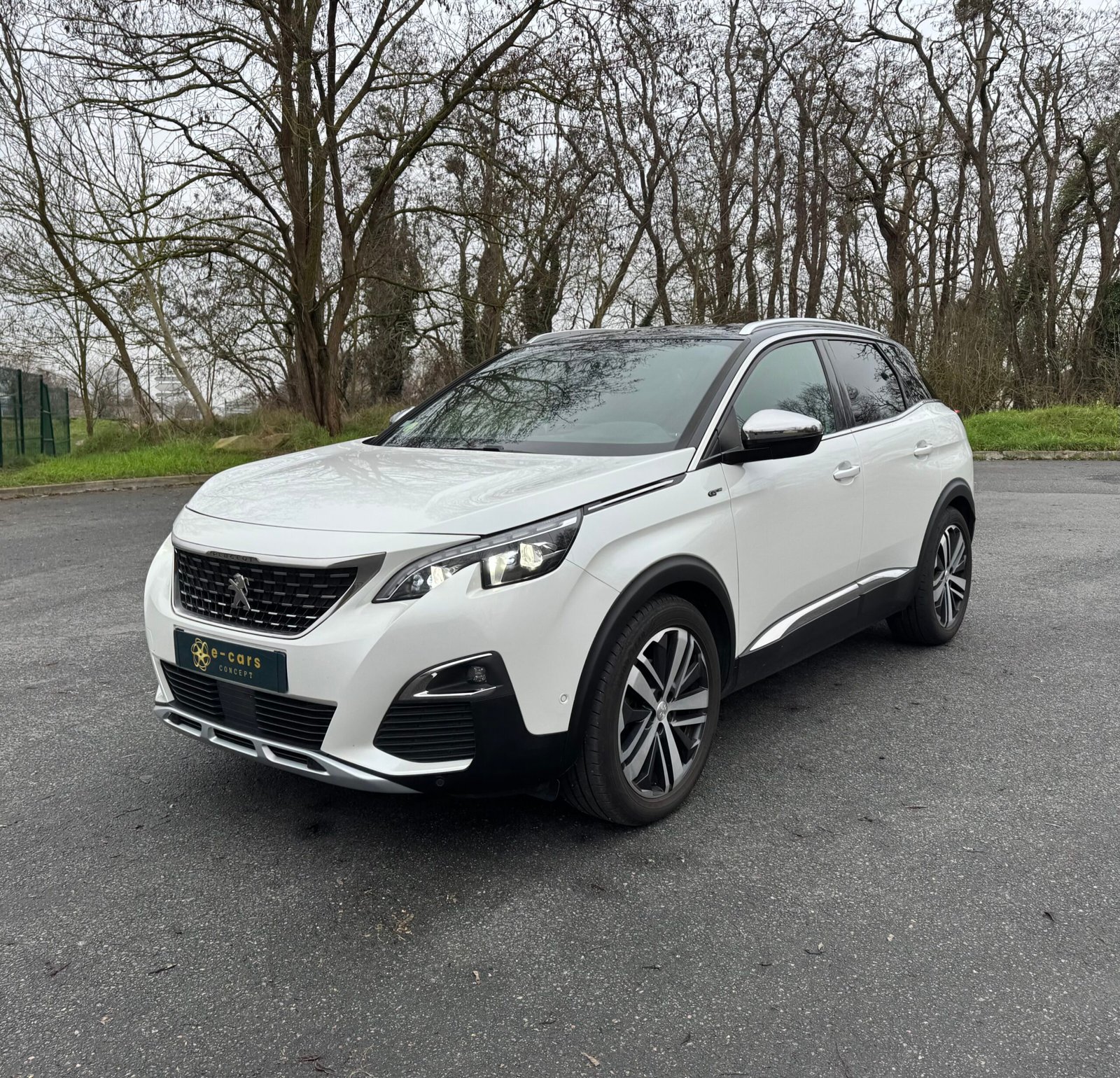 Peugeot 3008 II « GT » 2.0 BlueHDi EAT6 S&S 181CH