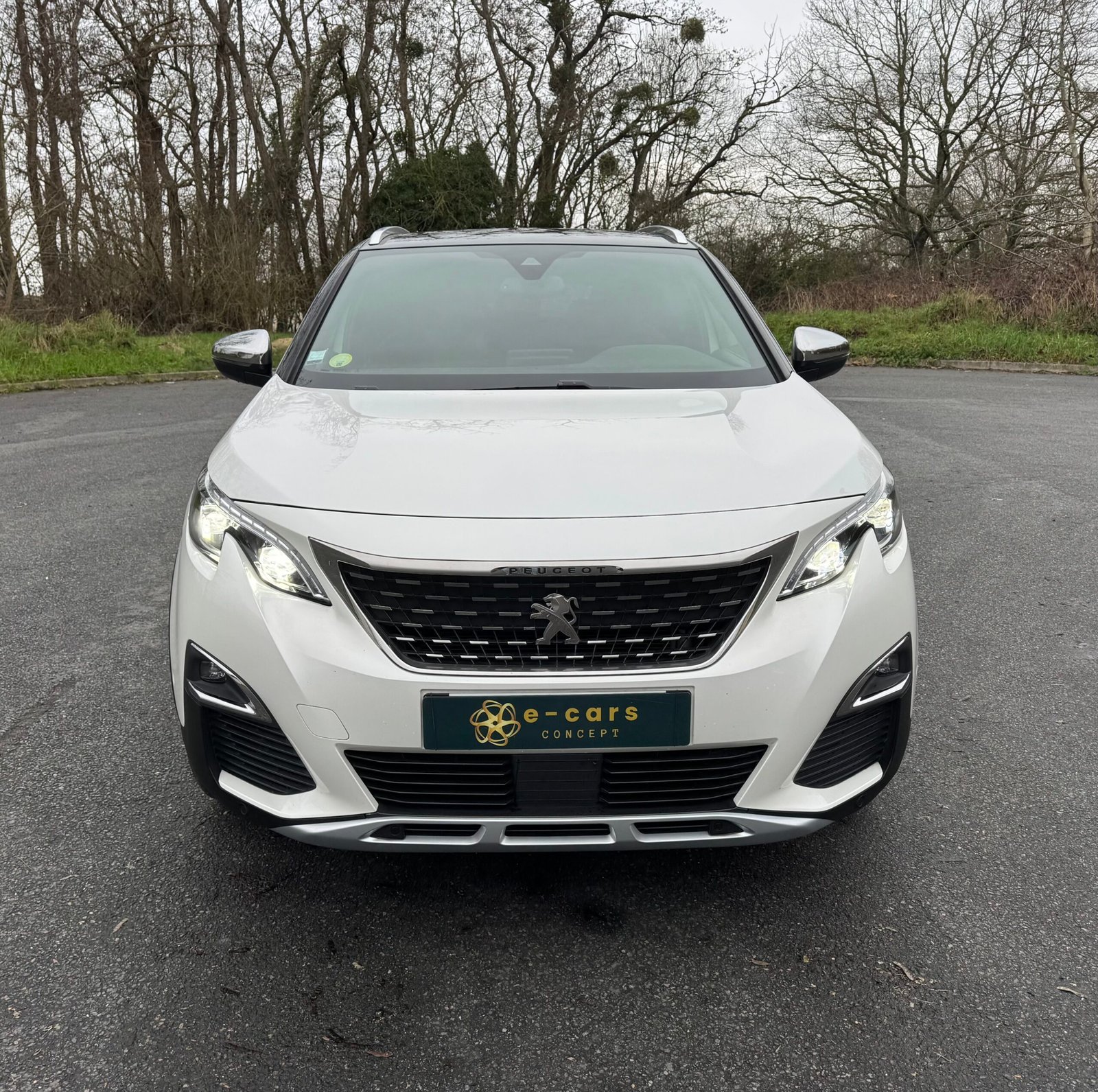 Peugeot 3008 II « GT » 2.0 BlueHDi EAT6 S&S 181CH
