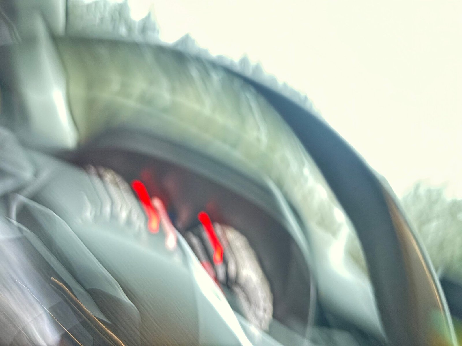 RENAULT Clio V 1.0 TCe S&S 100 cv BUSINESS