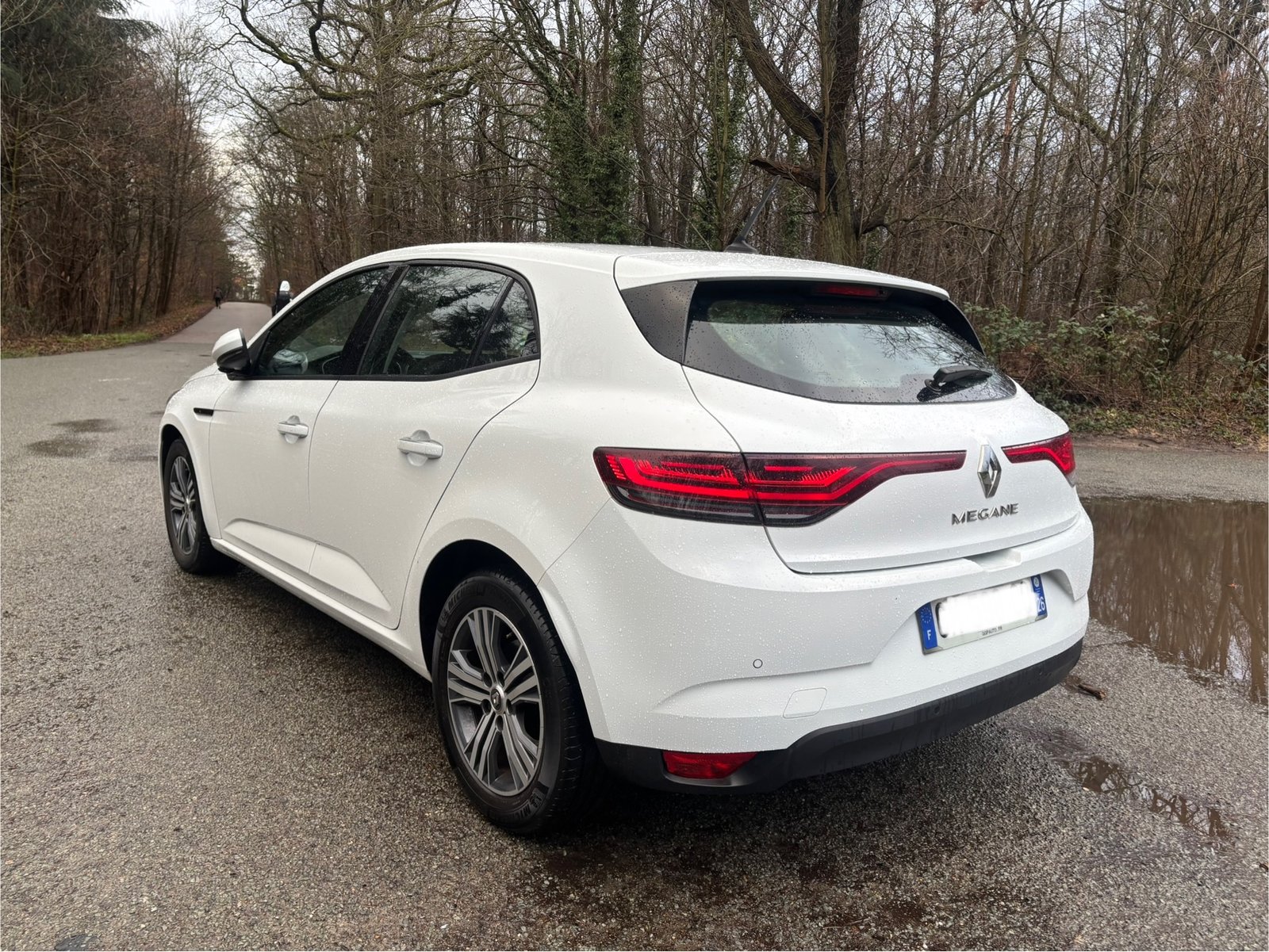 RENAULT Mégane IV Phase 2 1.5 dCi 115 Evolution