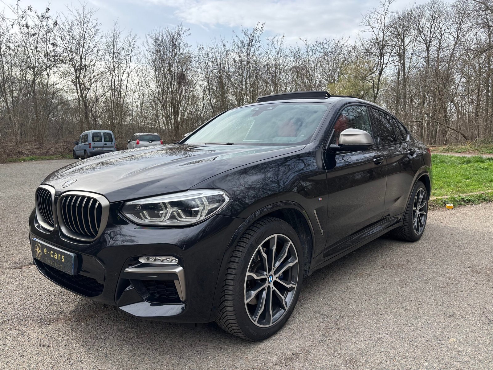 BMW X4 (G02) M40d xDrive 3.0 d 24V 326 cv