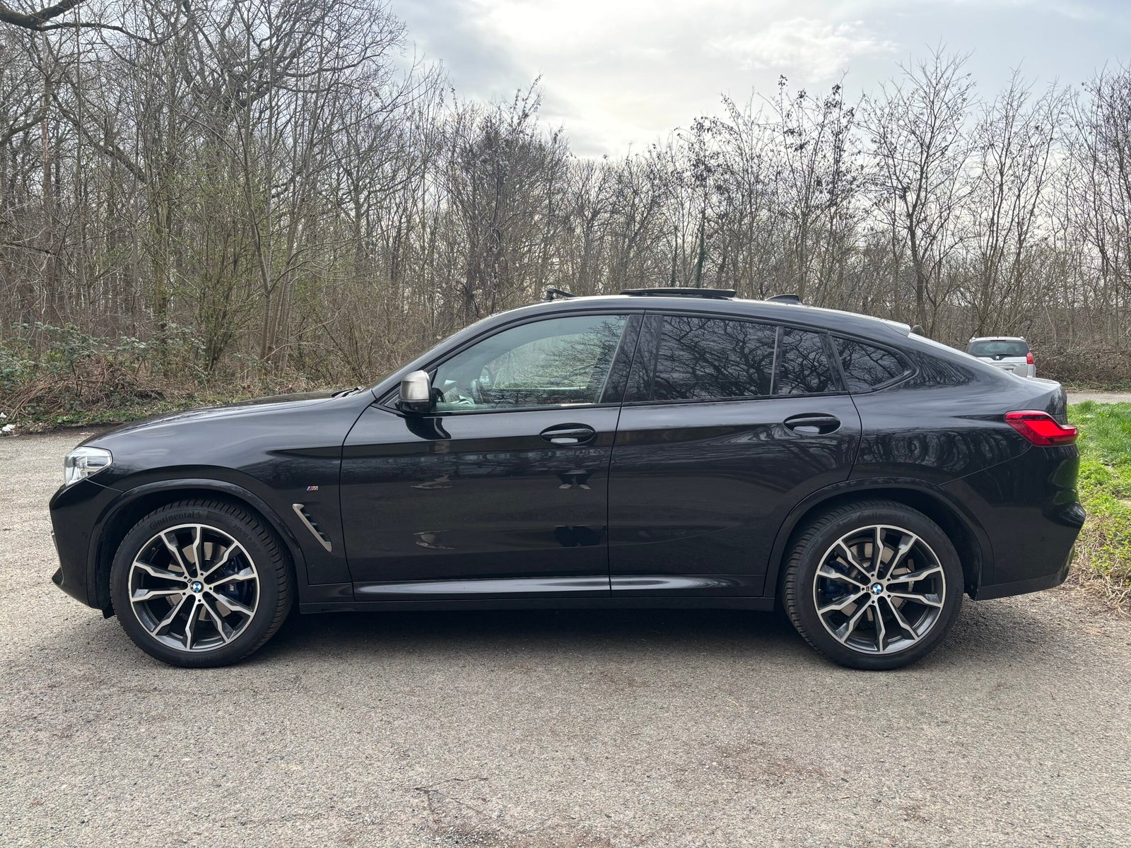 BMW X4 (G02) M40d xDrive 3.0 d 24V 326 cv