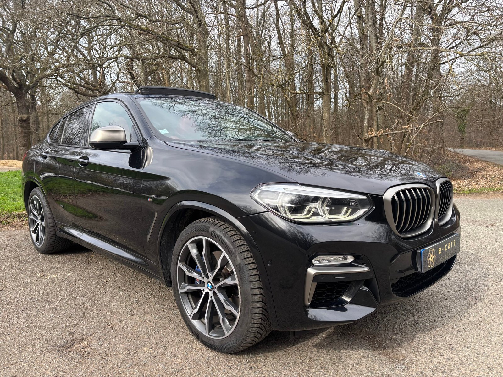 BMW X4 (G02) M40d xDrive 3.0 d 24V 326 cv
