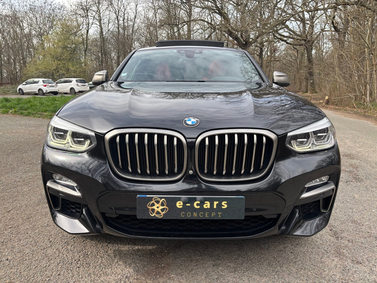 BMW X4 (G02) M40d xDrive 3.0 d 24V 326 cv