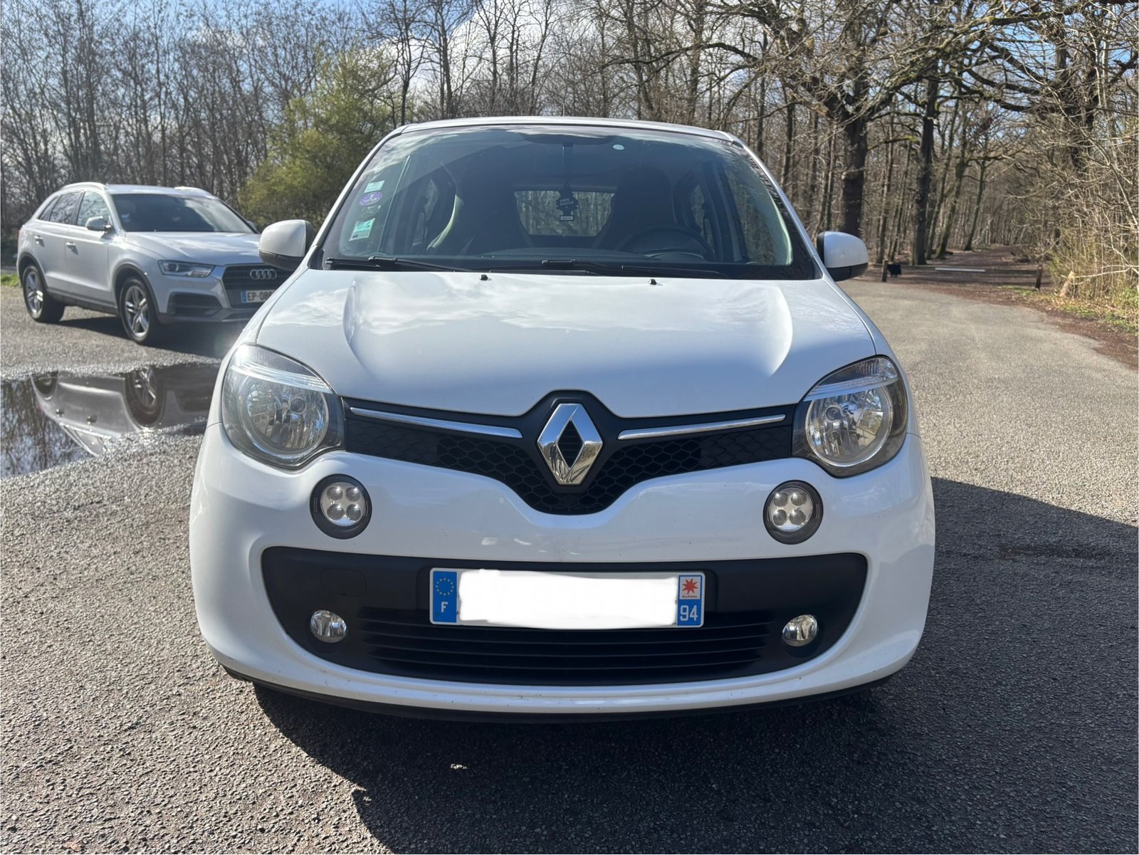 RENAULT Twingo III 1.0 SCe 12V eco2 S&S 71 cv