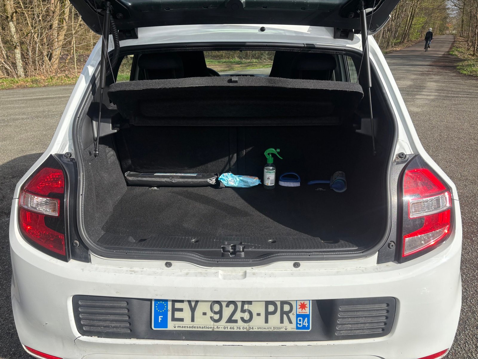 RENAULT Twingo III 1.0 SCe 12V eco2 S&S 71 cv