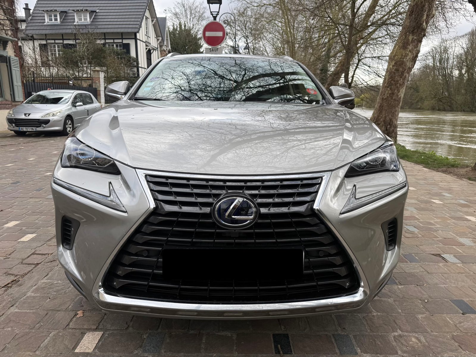 Lexus NX 300H E-CVT 155 Cv “Luxe Plus”