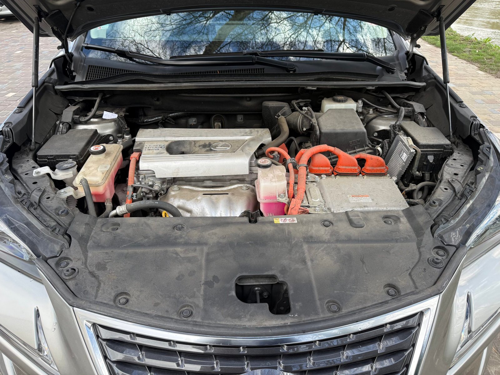 Lexus NX 300H E-CVT 155 Cv “Luxe Plus”