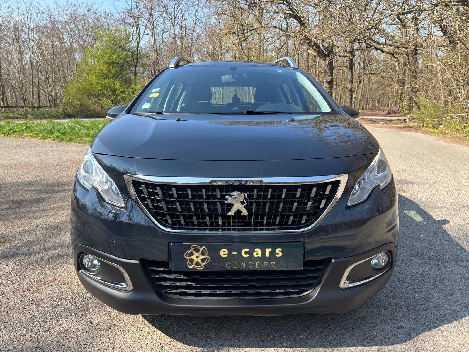 PEUGEOT 2008 1.6 BlueHDi S&S 99 cv ACTIVE BUSINESS